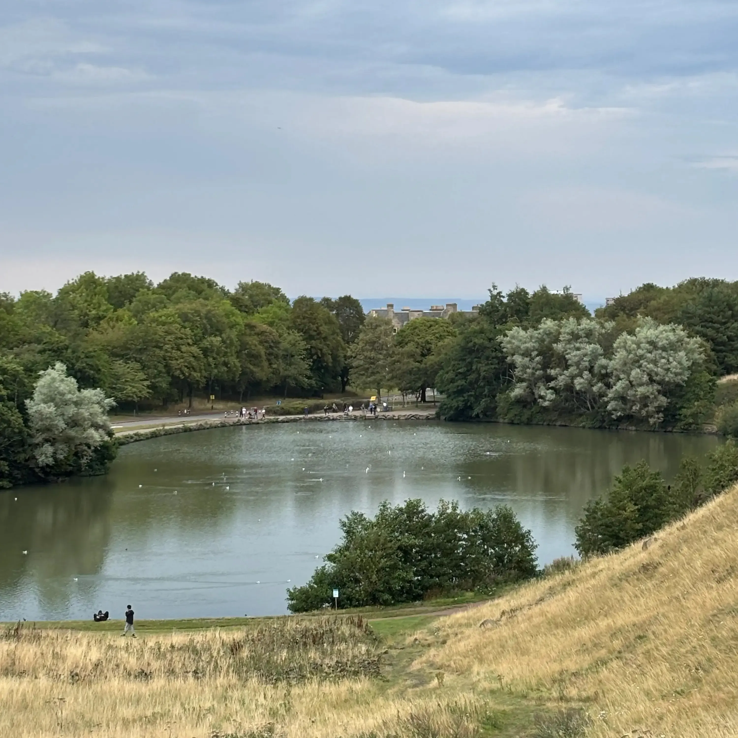 Lagunas en Arthur's Seat