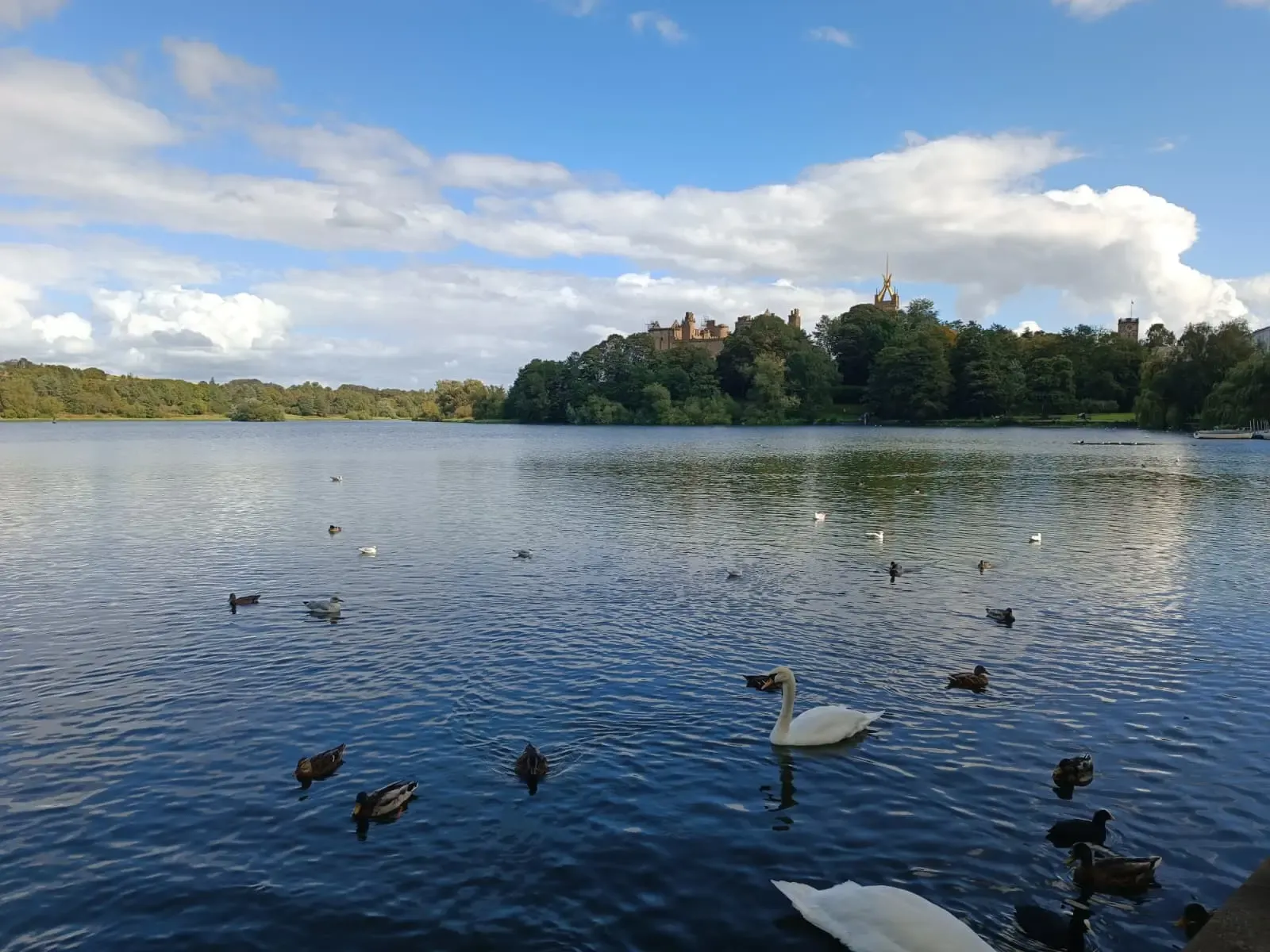 Castillo de Linlithgow junto a un lago con cisnes y patos nadando en primer plano, Escocia
