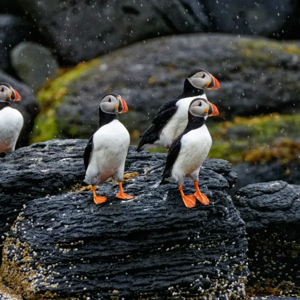 Qué ver en Islandia en 10 días: ruta completa