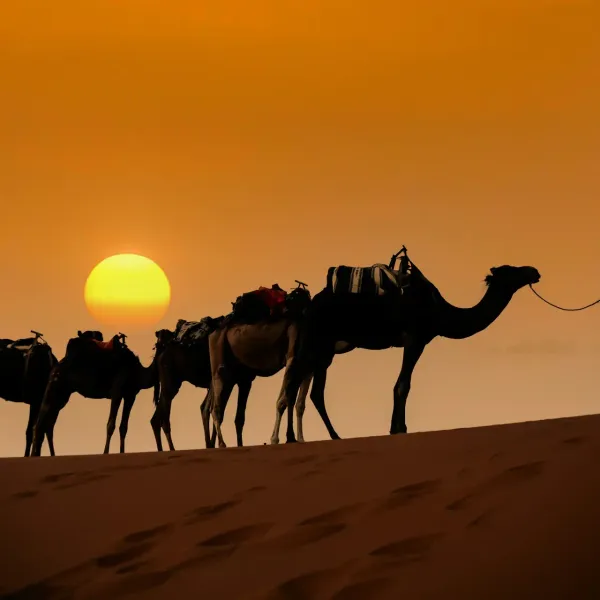 Qué ver en Marruecos en seis días: Marrakech, Atlas y Desierto