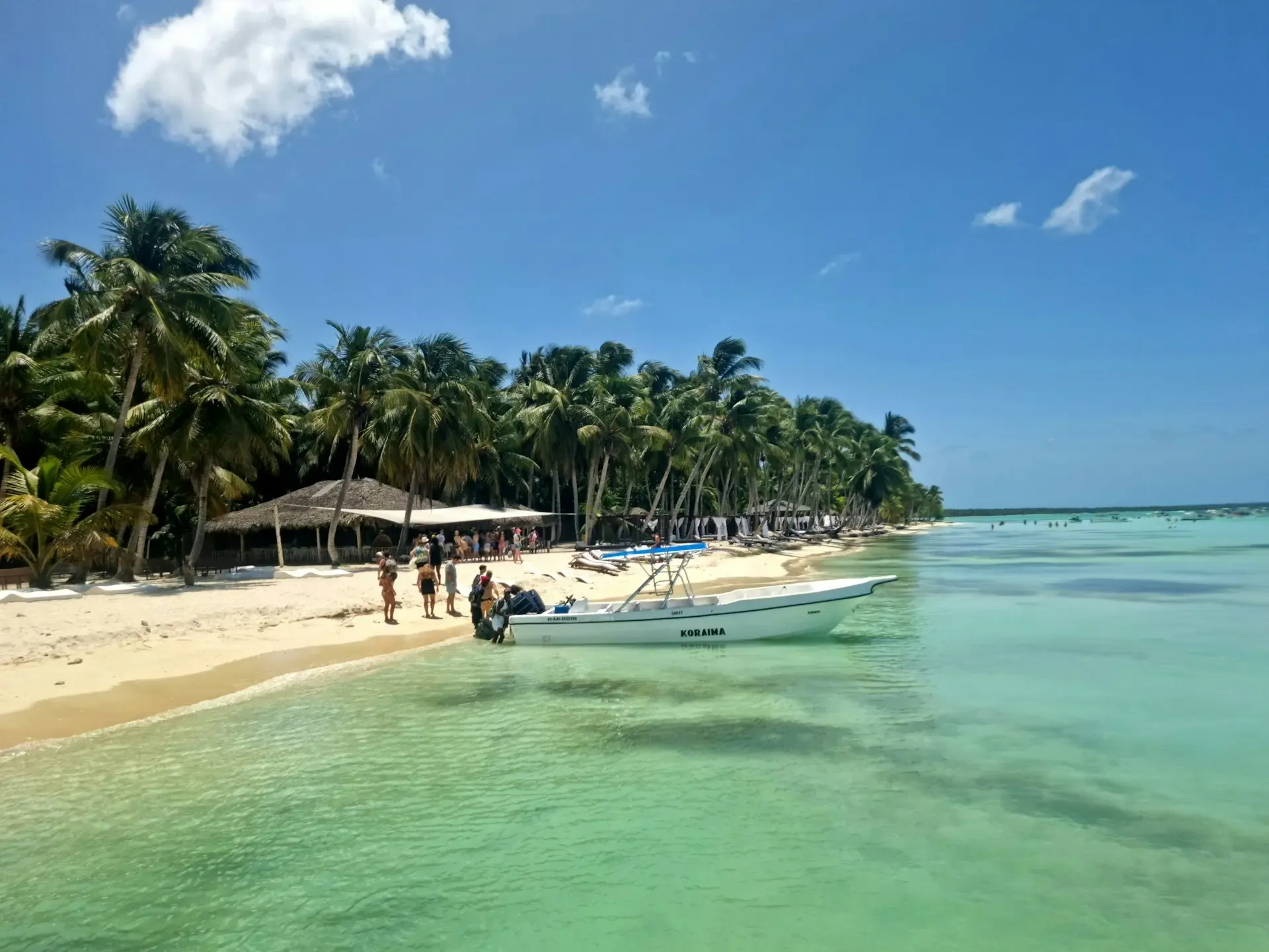 Playa caribeña con palmeras, arena blanca y aguas turquesa en República Dominicana